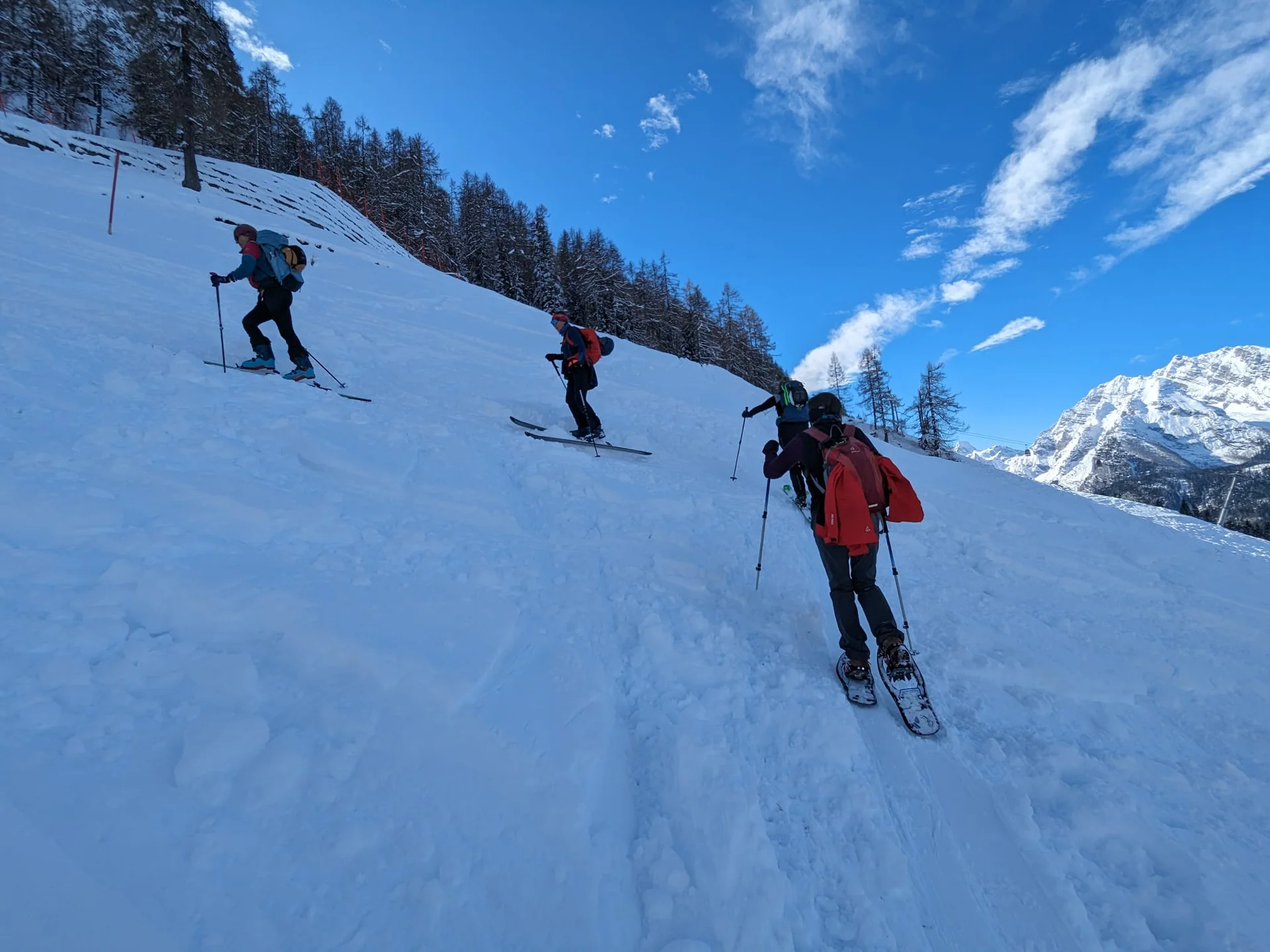 Ladys Day Jenner | © Schneider Susanne