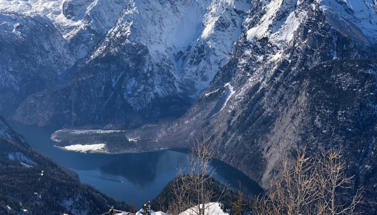 Ladys Day Jenner | © Schneider Susanne