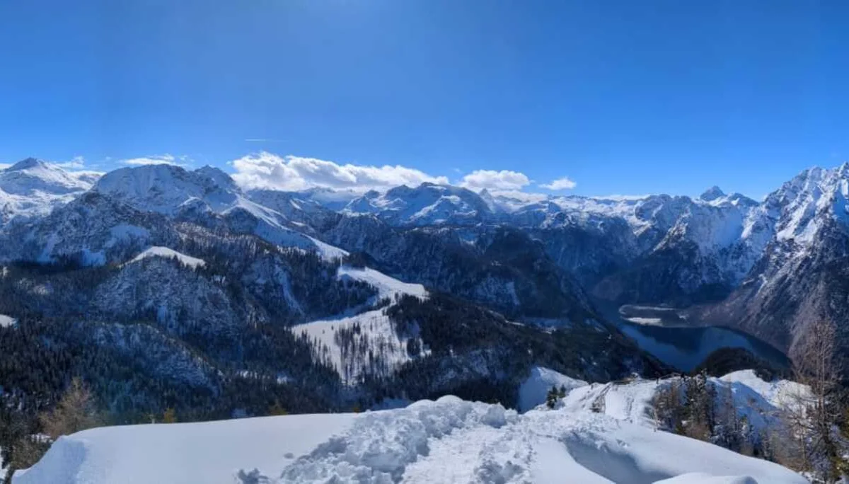 Ladys Day Jenner | © Schneider Susanne