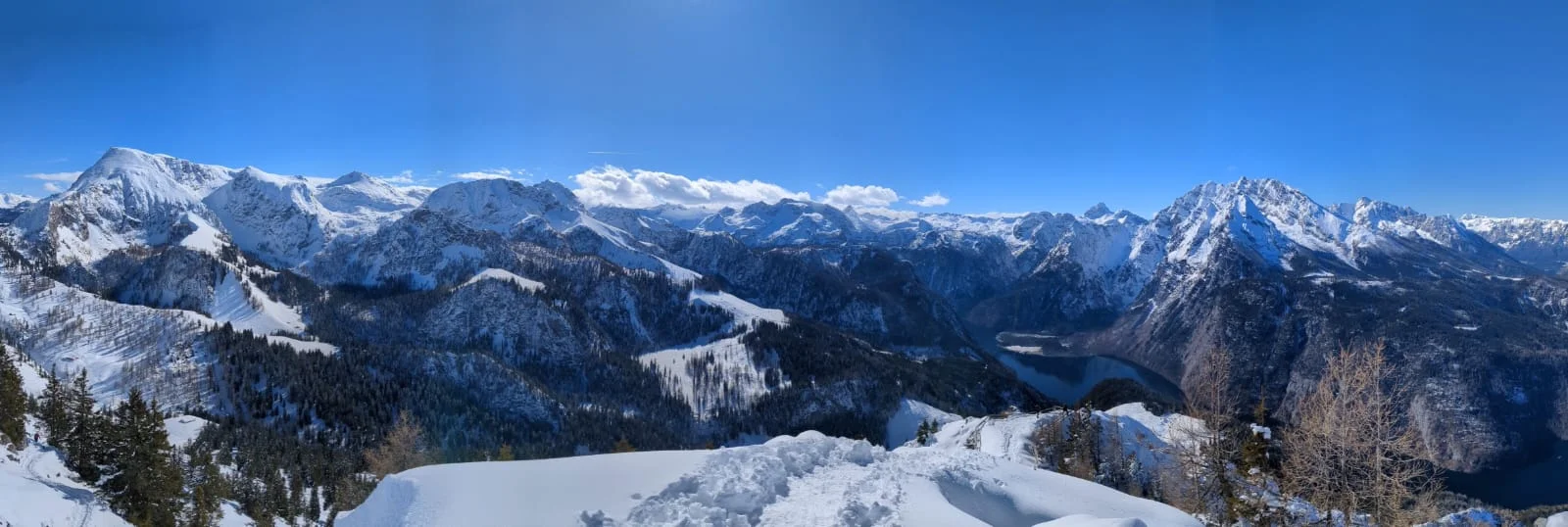 Ladys Day Jenner | © Schneider Susanne