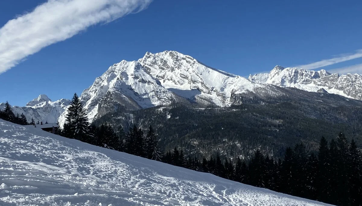 Ladys Day Jenner | © Schneider Susanne