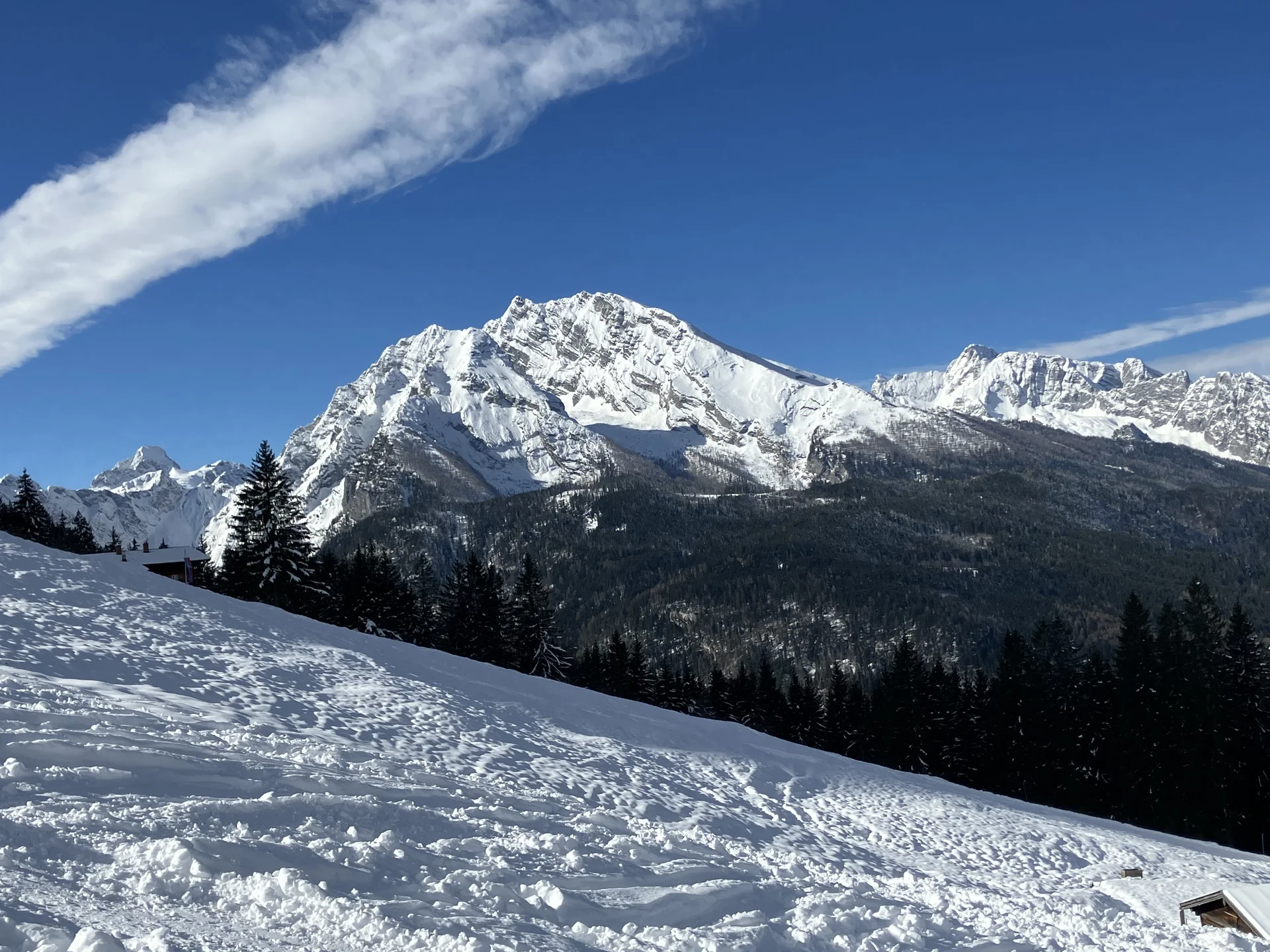 Ladys Day Jenner | © Schneider Susanne