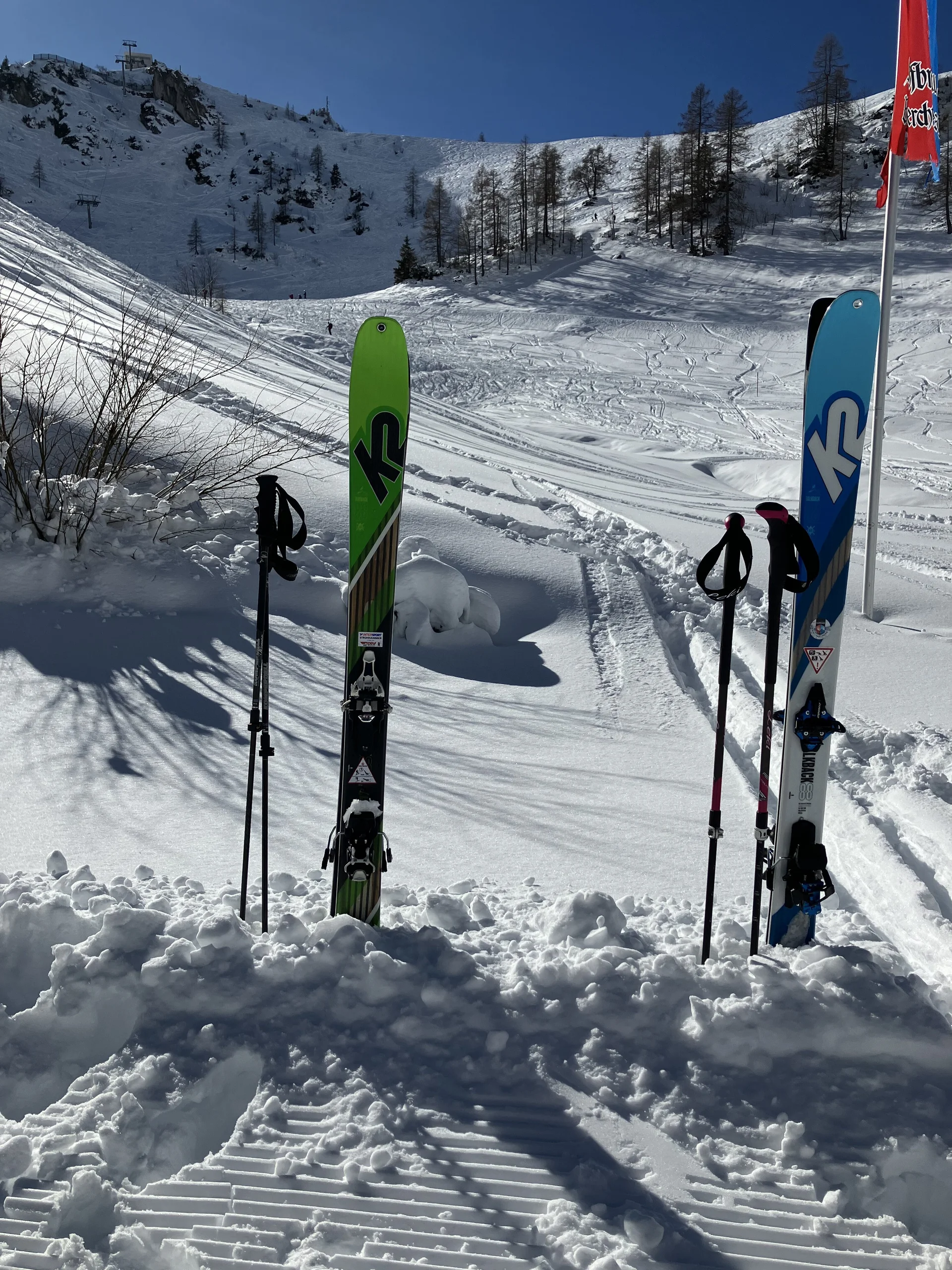 Ladys Day Jenner | © Schneider Susanne