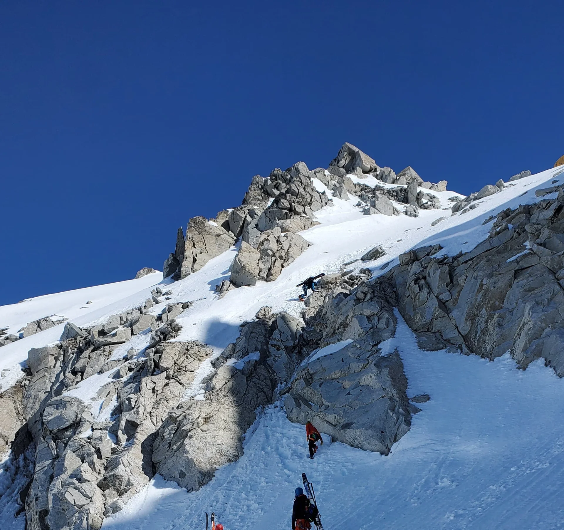 Skihochtouren in der Adamellogruppe  | © Haslbeck Ludwig