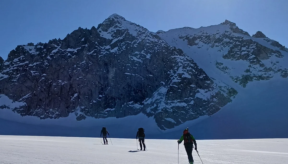 Skihochtouren in der Adamellogruppe  | © Haslbeck Ludwig