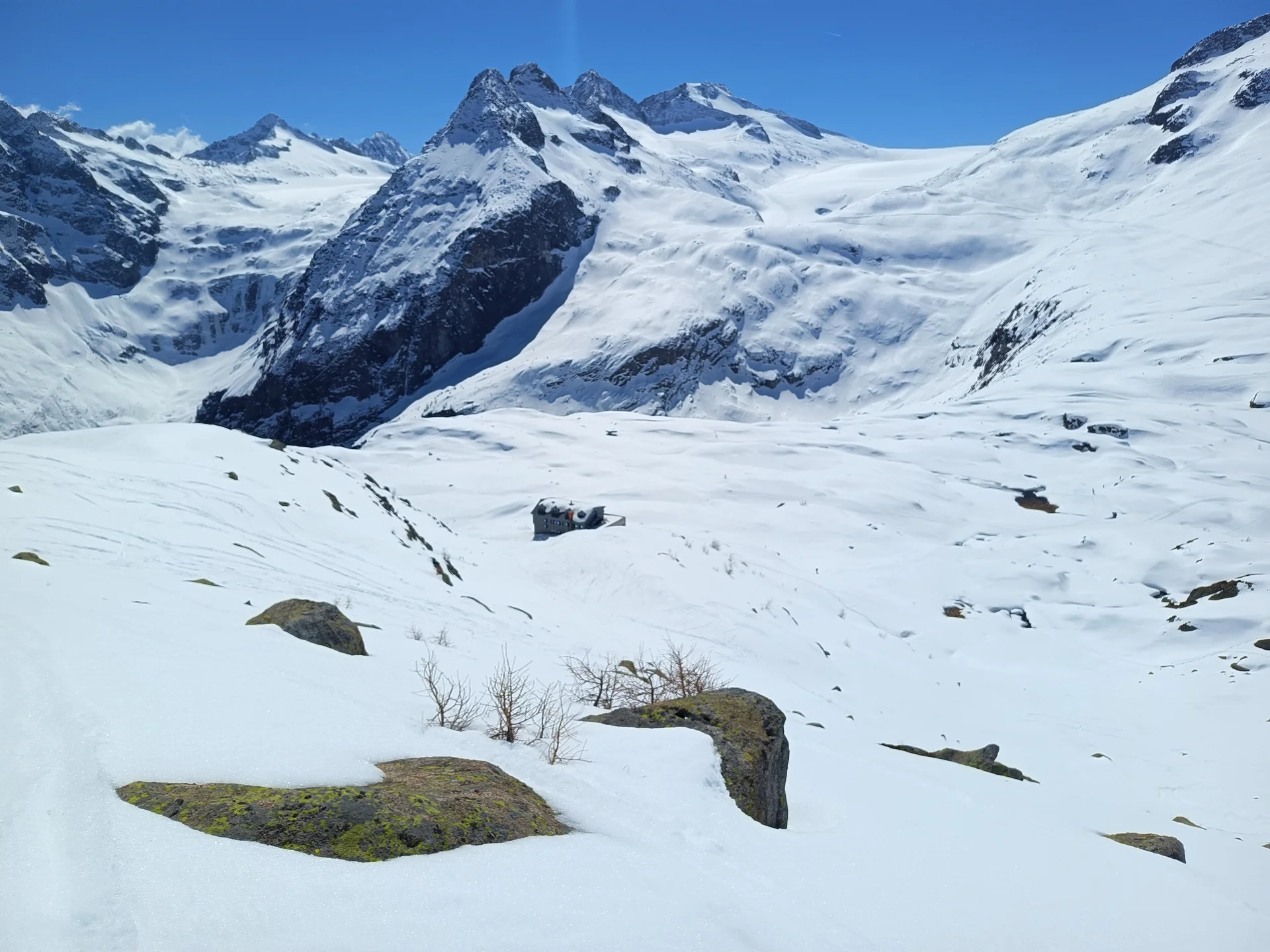 Skihochtouren in der Adamellogruppe  | © Haslbeck Ludwig