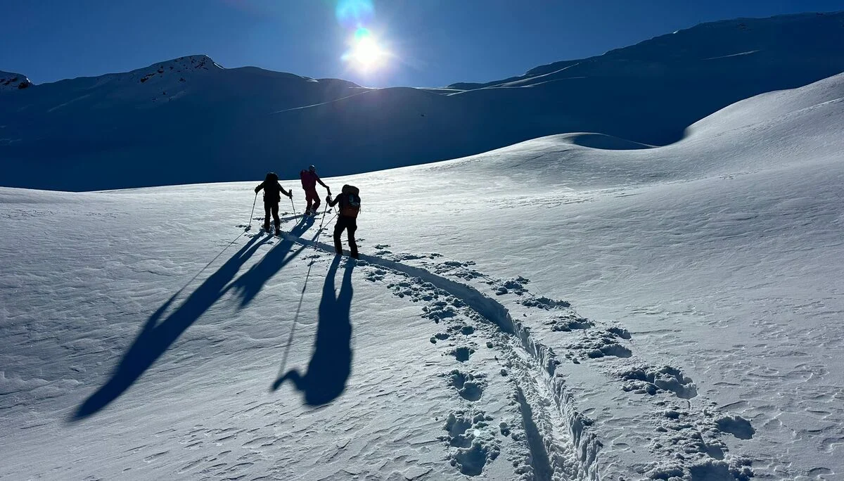 Pulvrige Tage auf der Potsdamerhütte | © Roglmeier Christian