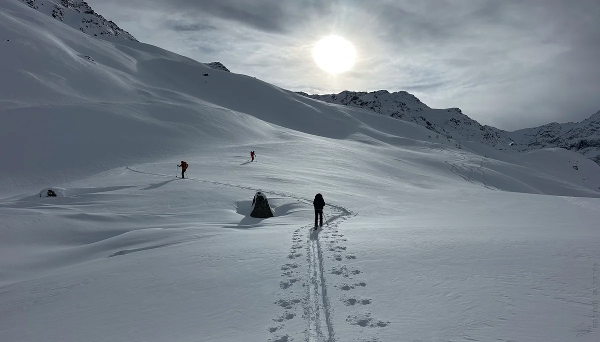 Pulvrige Tage auf der Potsdamerhütte | © Roglmeier Christian