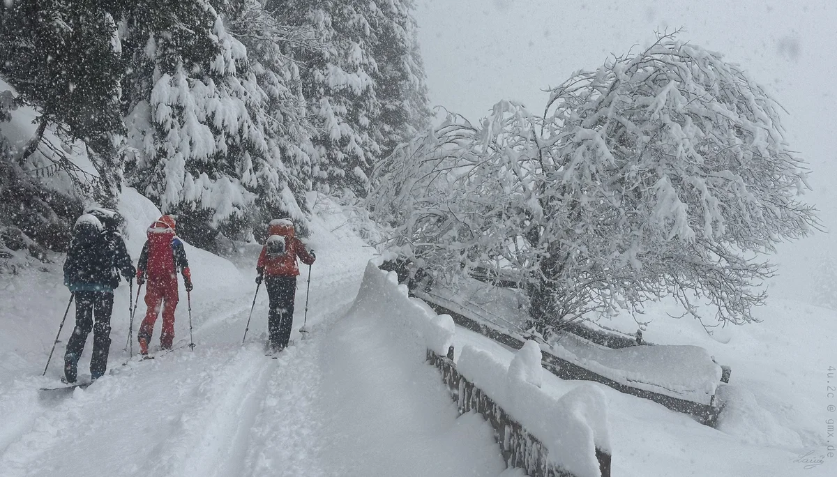 Pulvrige Tage auf der Potsdamerhütte | © Roglmeier Christian