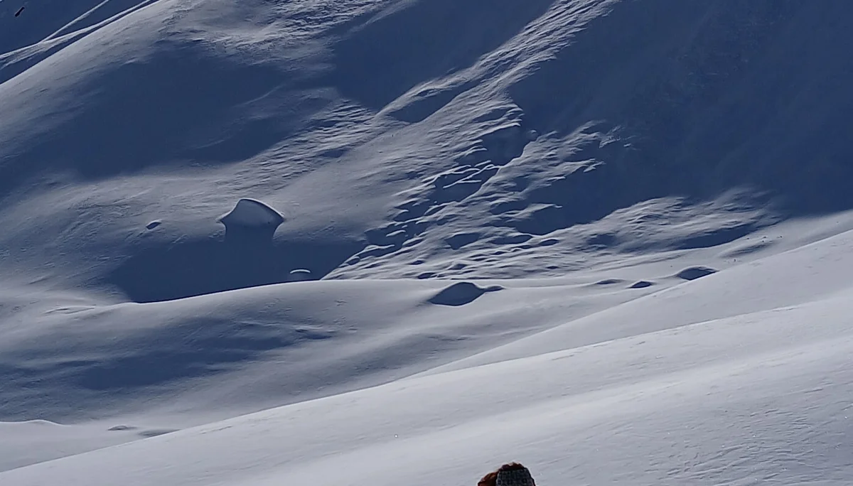 Pulvrige Tage auf der Potsdamerhütte | © Roglmeier Christian