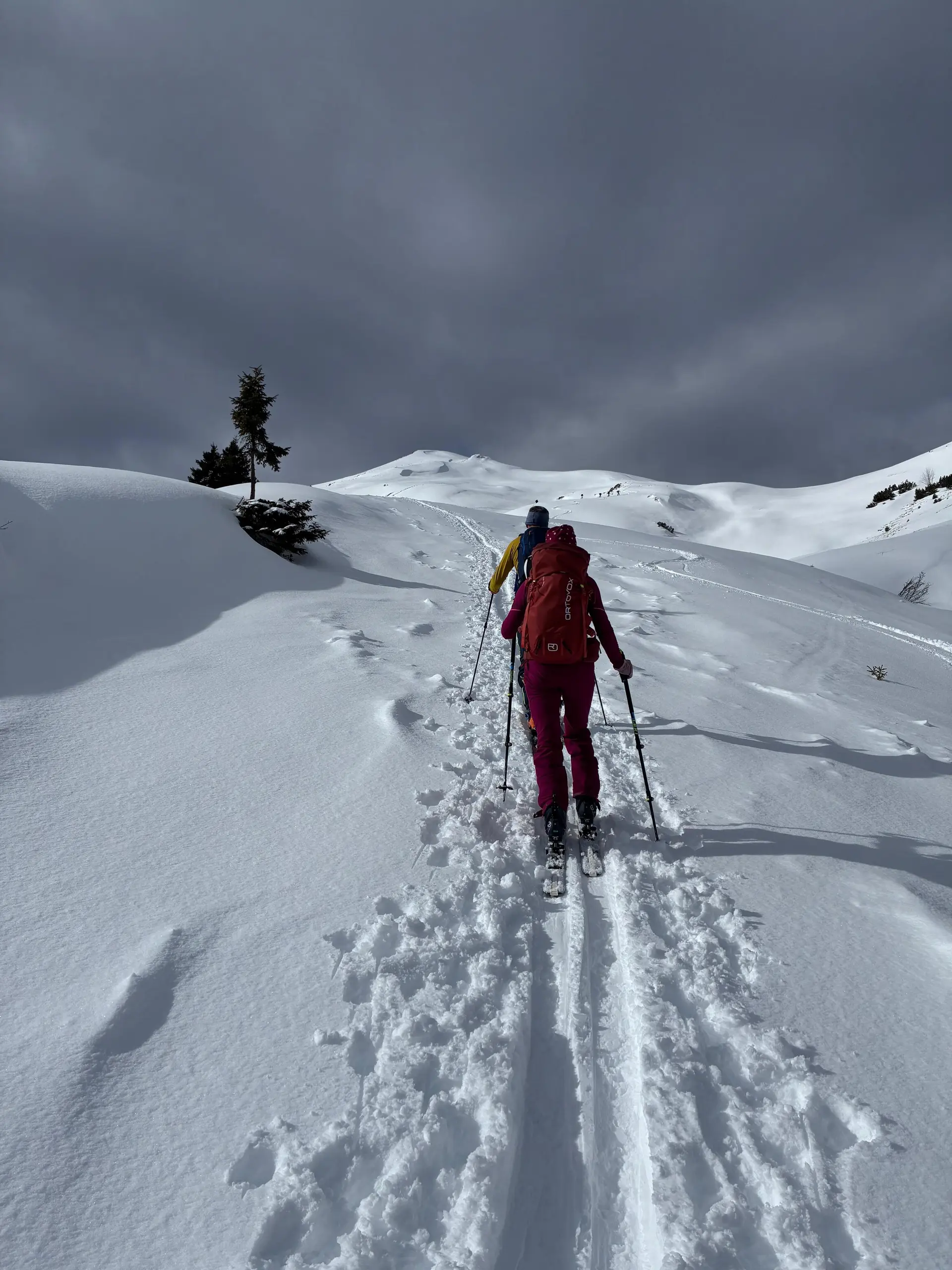 Skitouren in den Lechtaler Alpen | © Haslbeck Ludwig