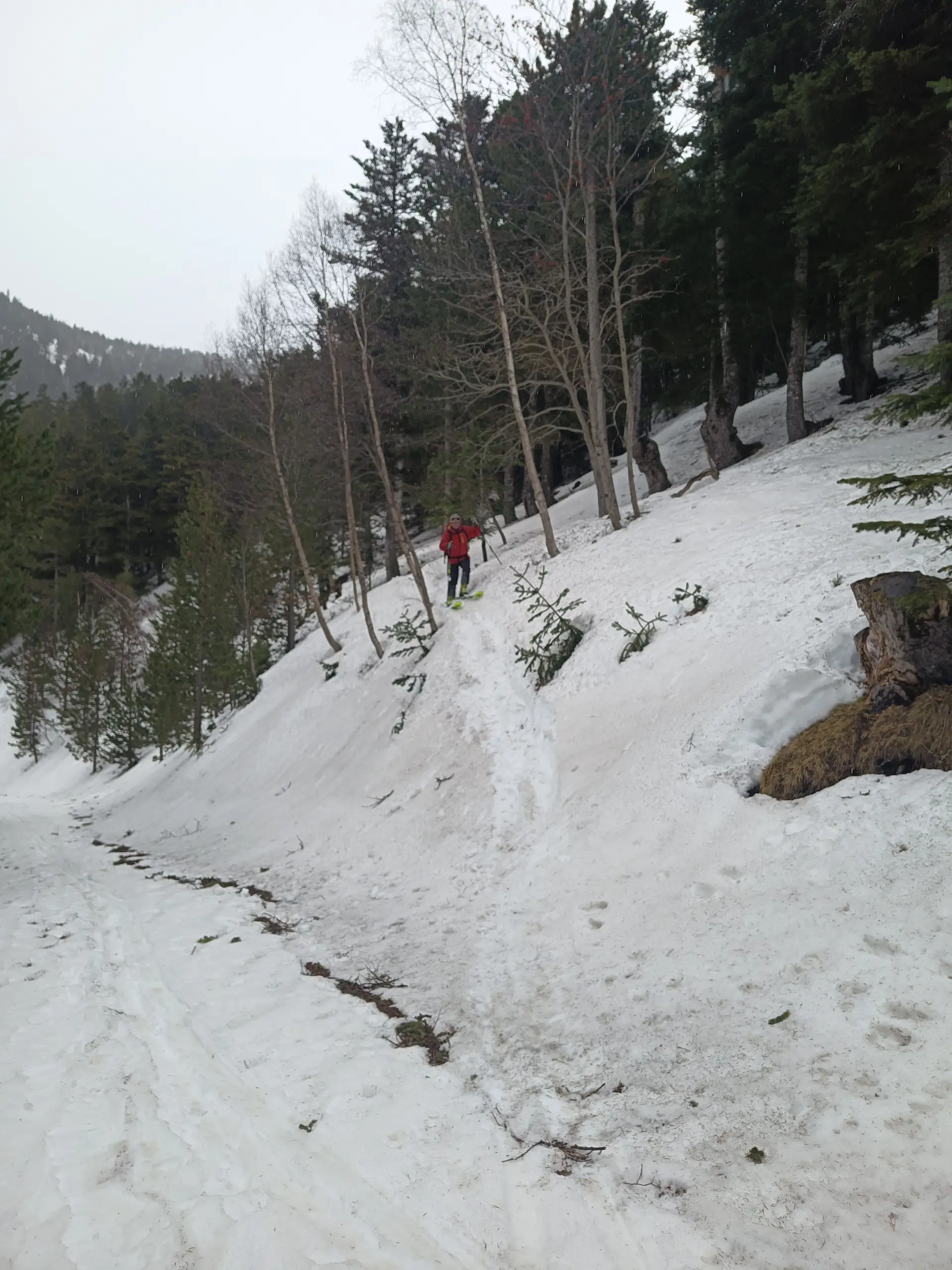 Abkürzung | © Haslbeck Ludwig