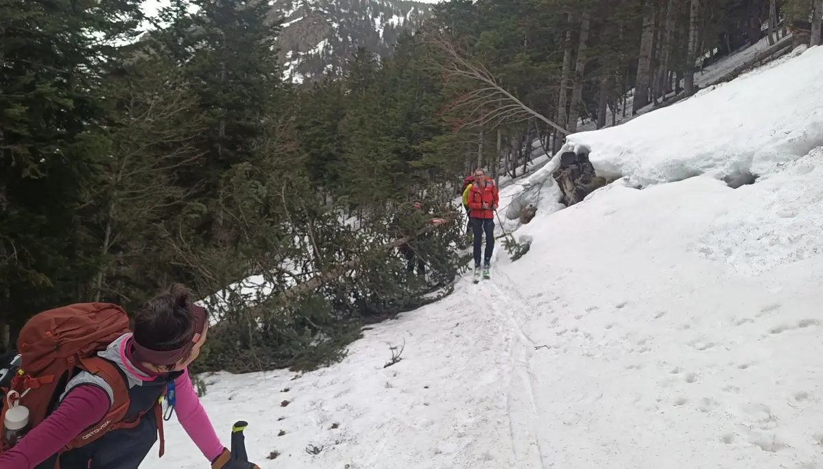 wir machen den Weg frei | © Haslbeck Ludwig