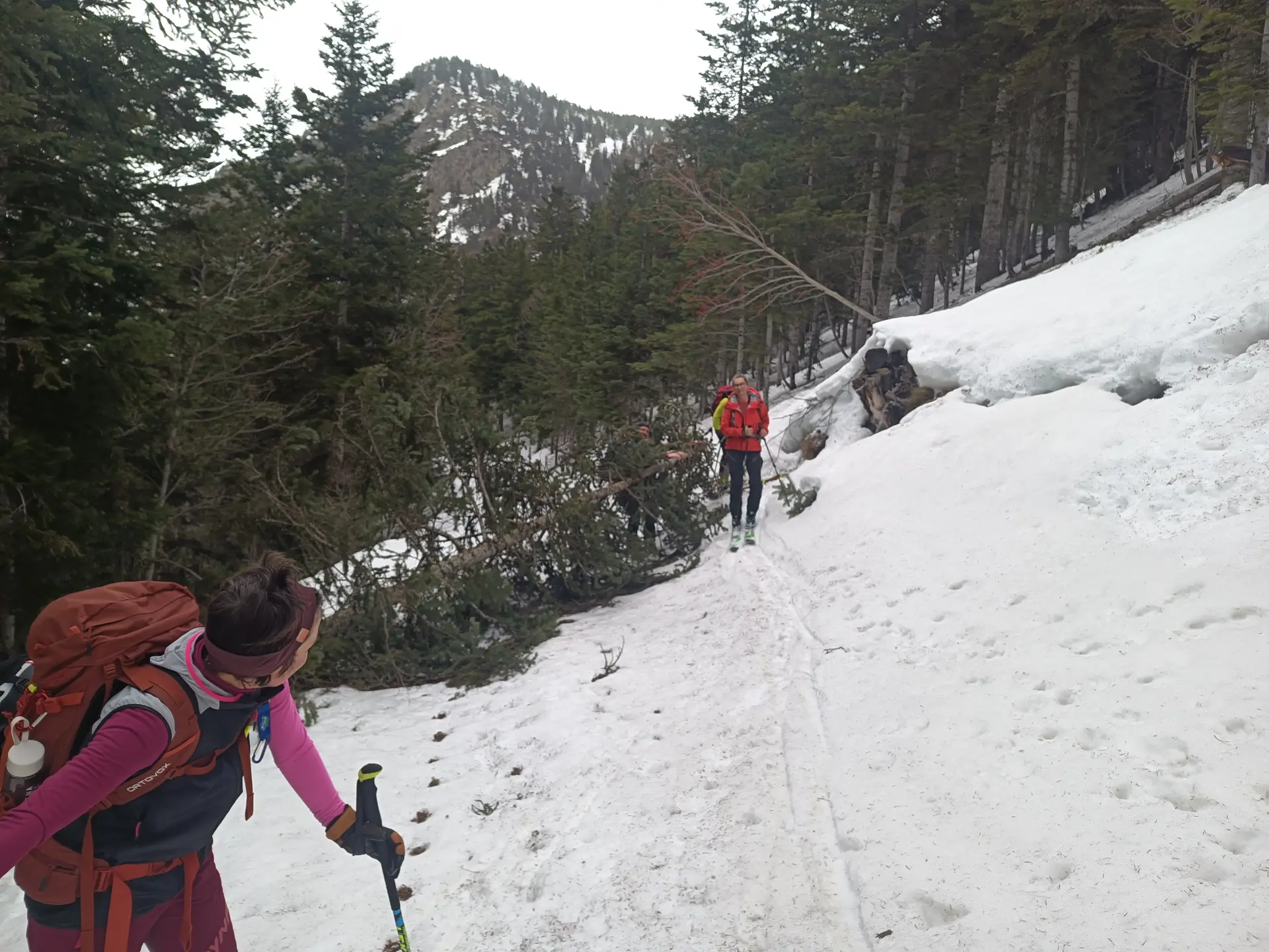 wir machen den Weg frei | © Haslbeck Ludwig