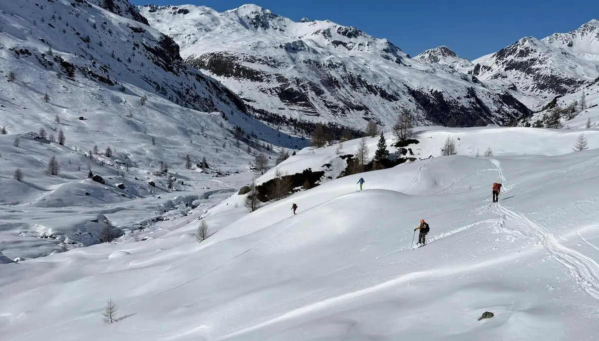 Stille Skitourentag im Val Viola | © Roglmeier Christian