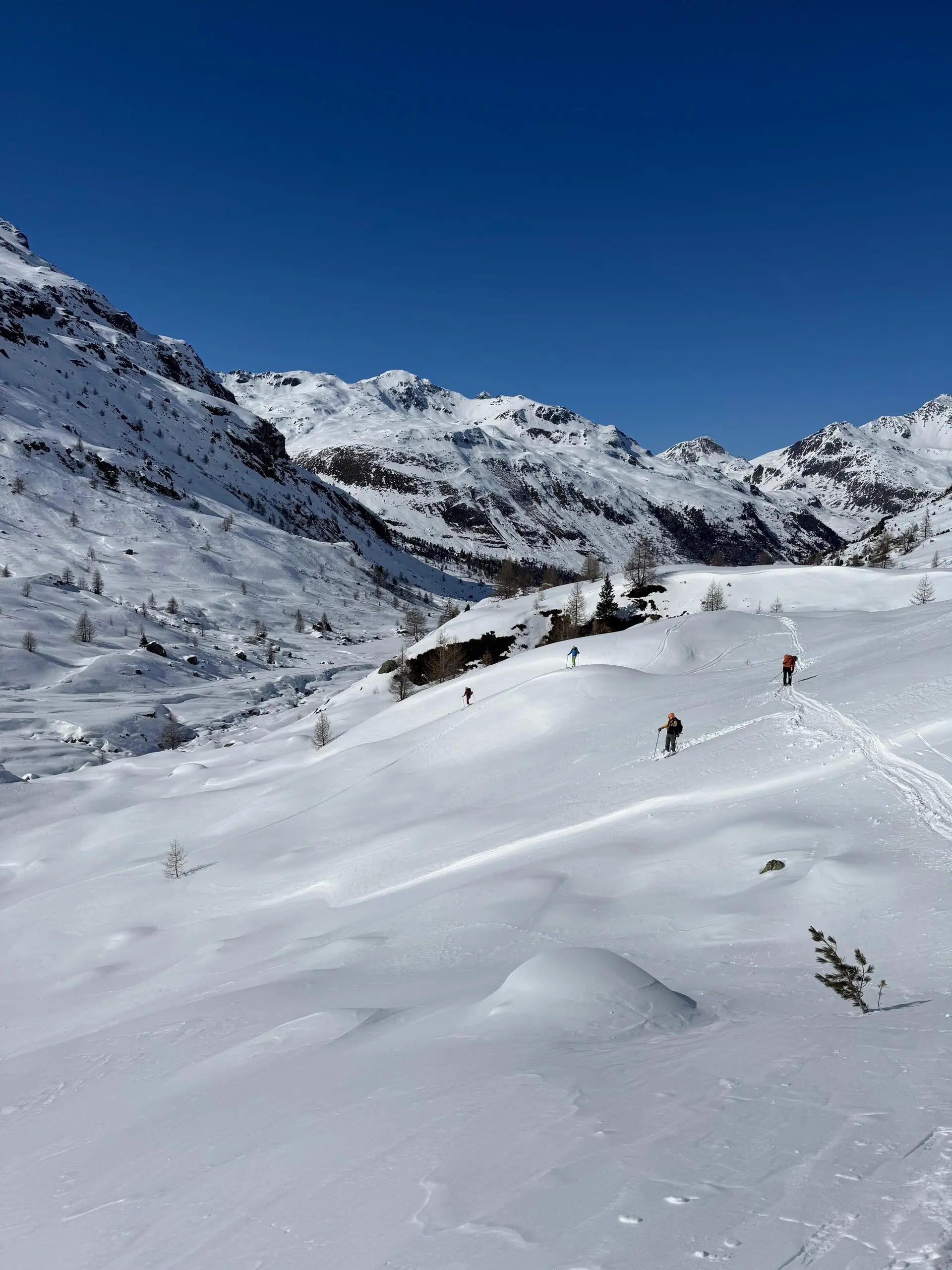 Stille Skitourentag im Val Viola | © Roglmeier Christian