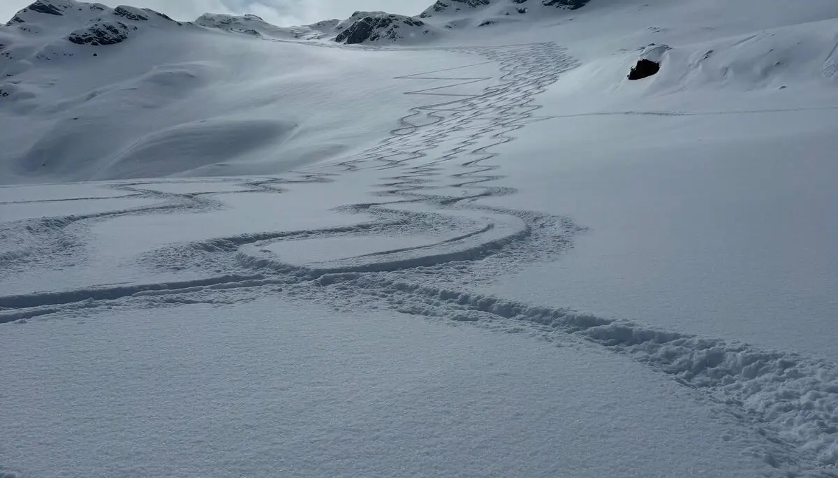 Stille Skitourentag im Val Viola | © Roglmeier Christian