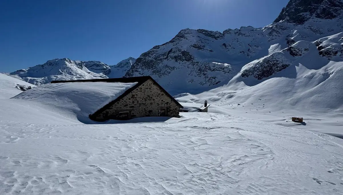 Stille Skitourentag im Val Viola | © Roglmeier Christian