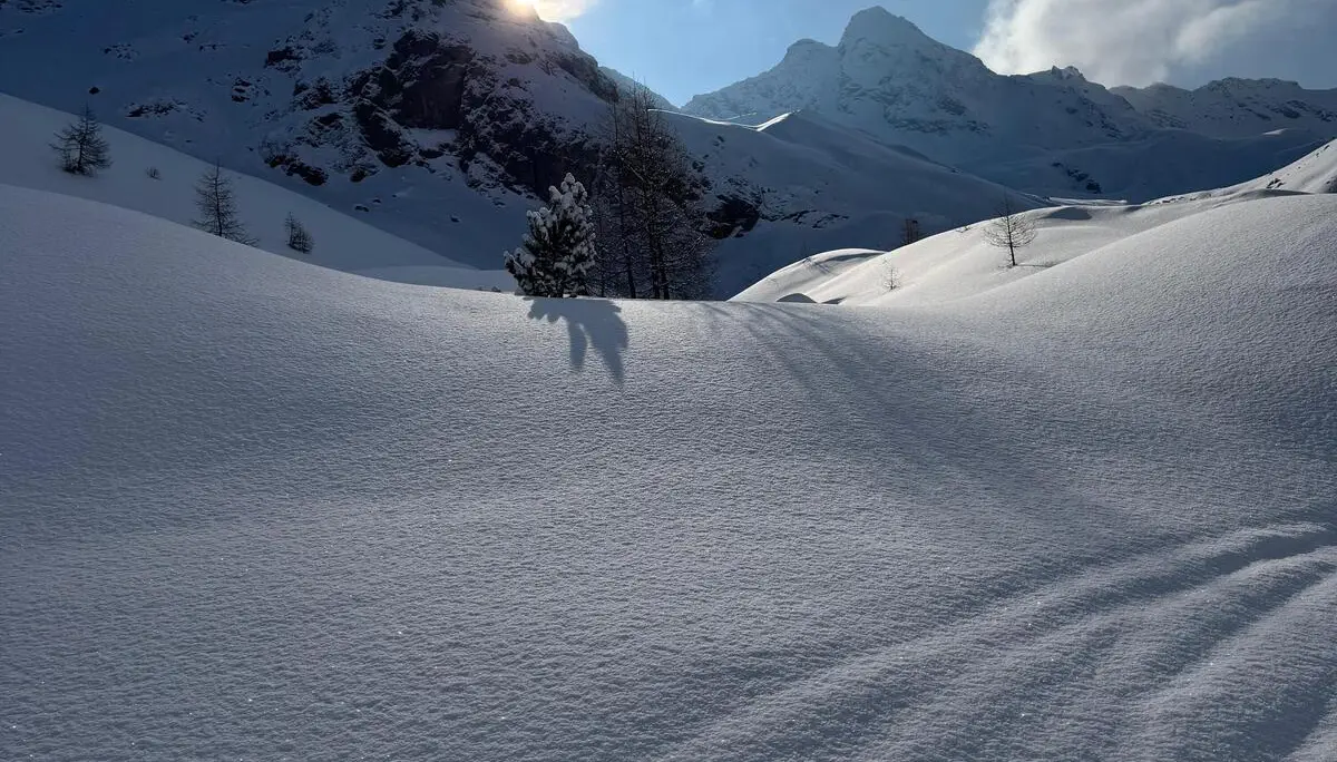Stille Skitourentag im Val Viola | © Roglmeier Christian