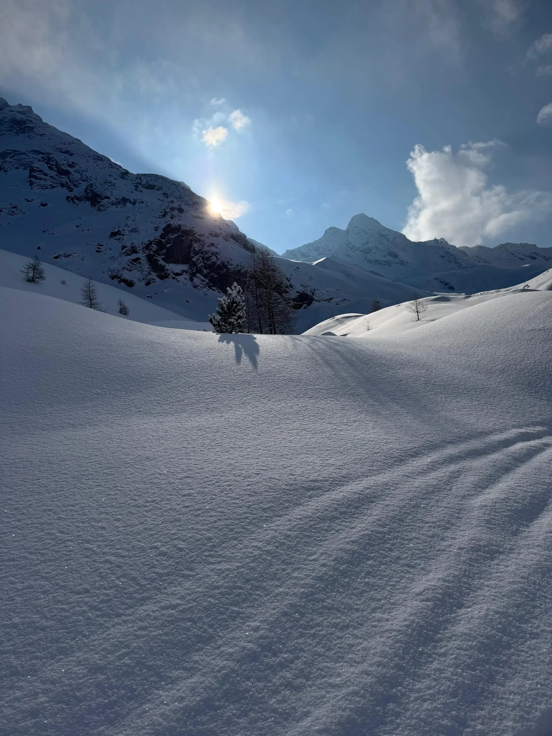 Stille Skitourentag im Val Viola | © Roglmeier Christian