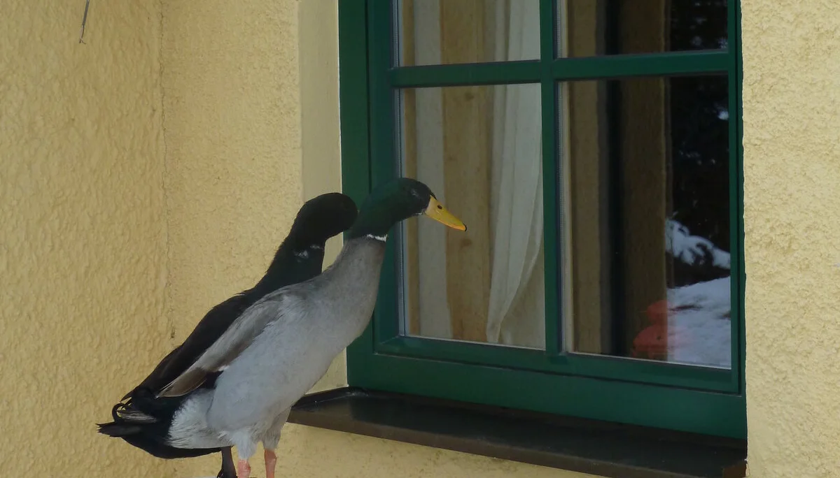 Planungswochenende | © Planungswochenende