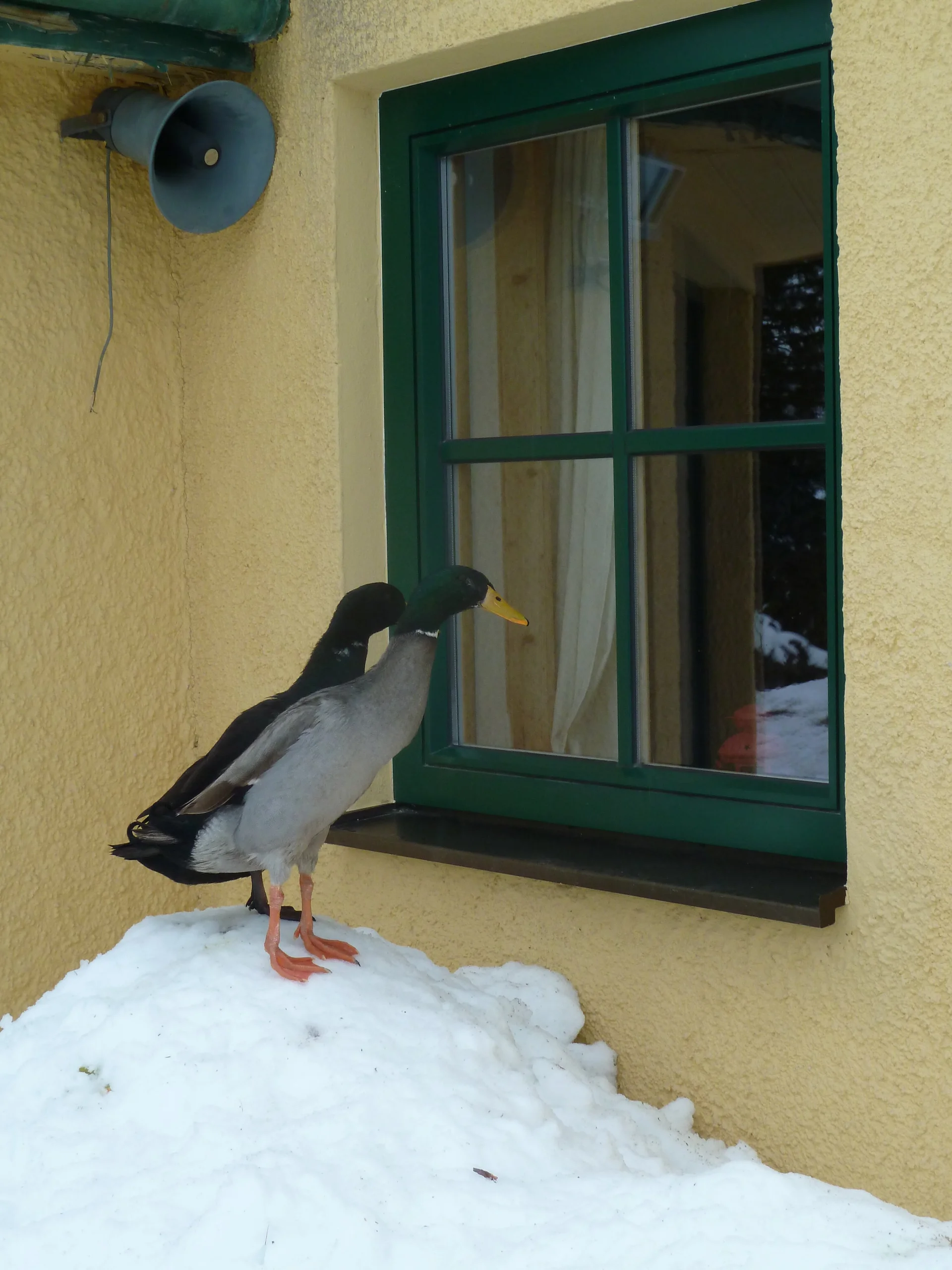 Planungswochenende | © Planungswochenende