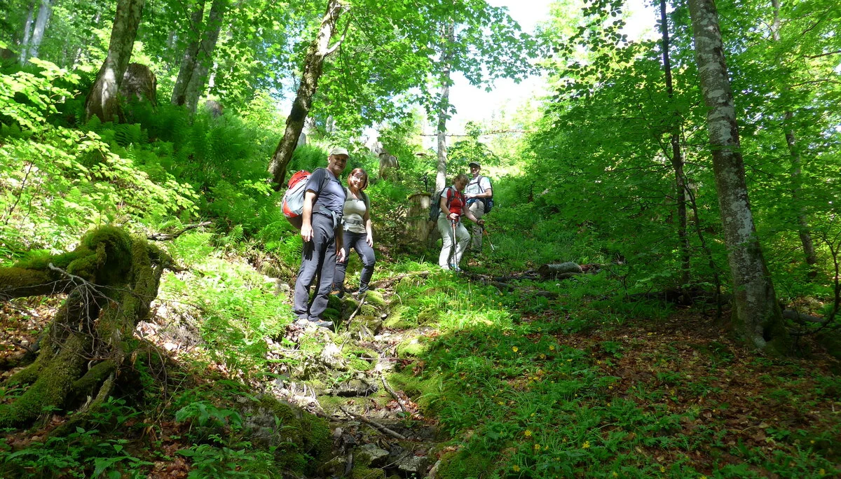 Postalm | © Postalm