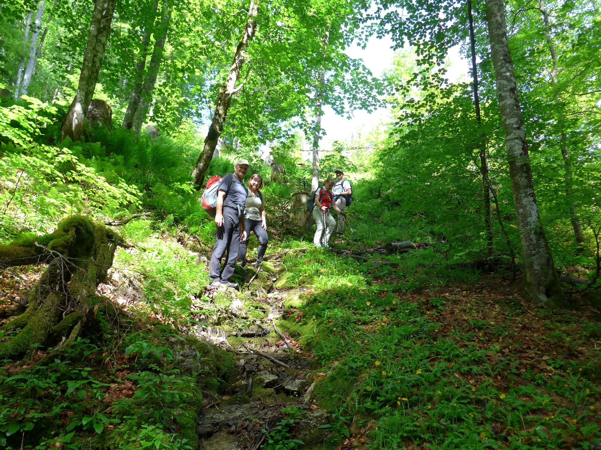 Postalm | © Postalm