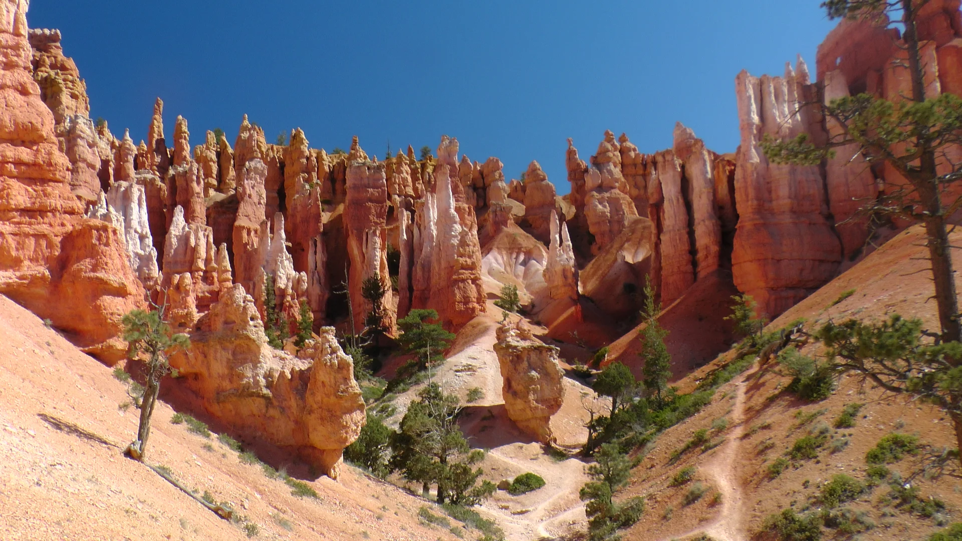 USA | © USA