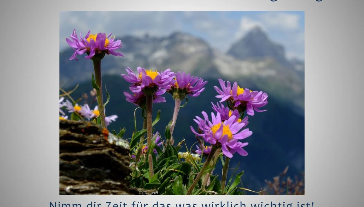 3 Die Berge und wir - Der Festablauf | © Frankl Günther