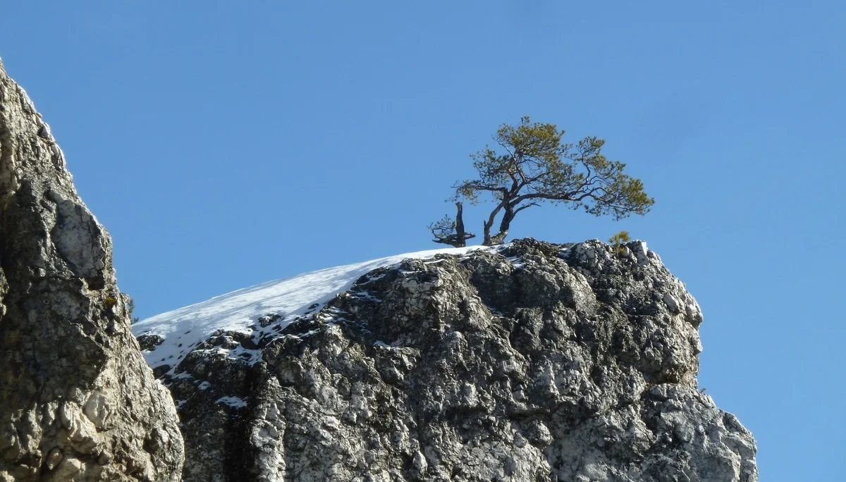 3 Die Berge und wir - Der Festablauf | © Frankl Günther