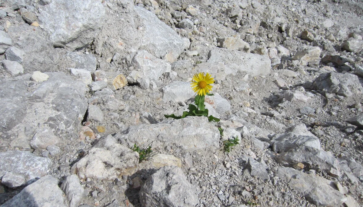 Dachsteingebirge | © Dachsteingebirge
