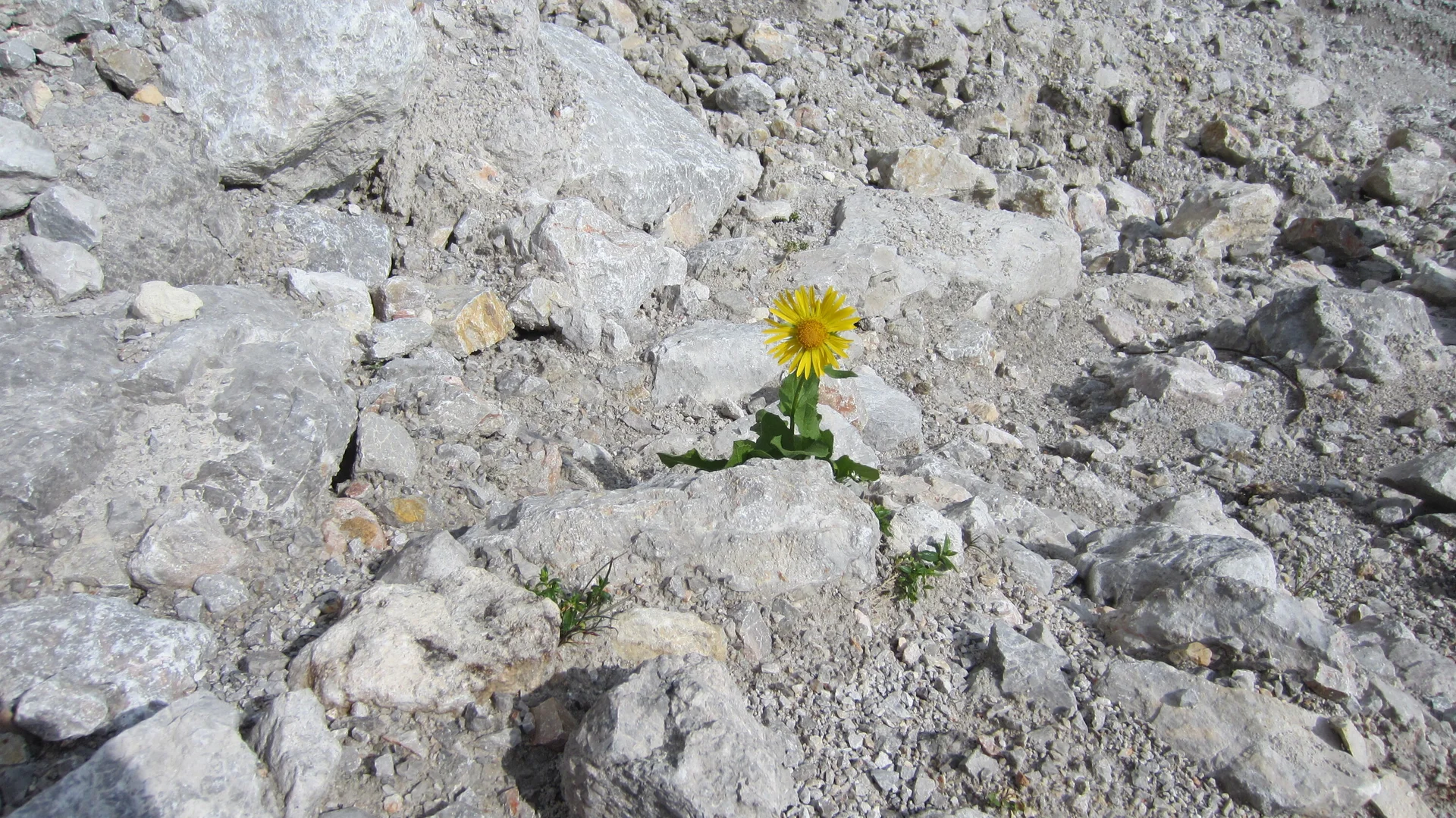 Dachsteingebirge | © Dachsteingebirge