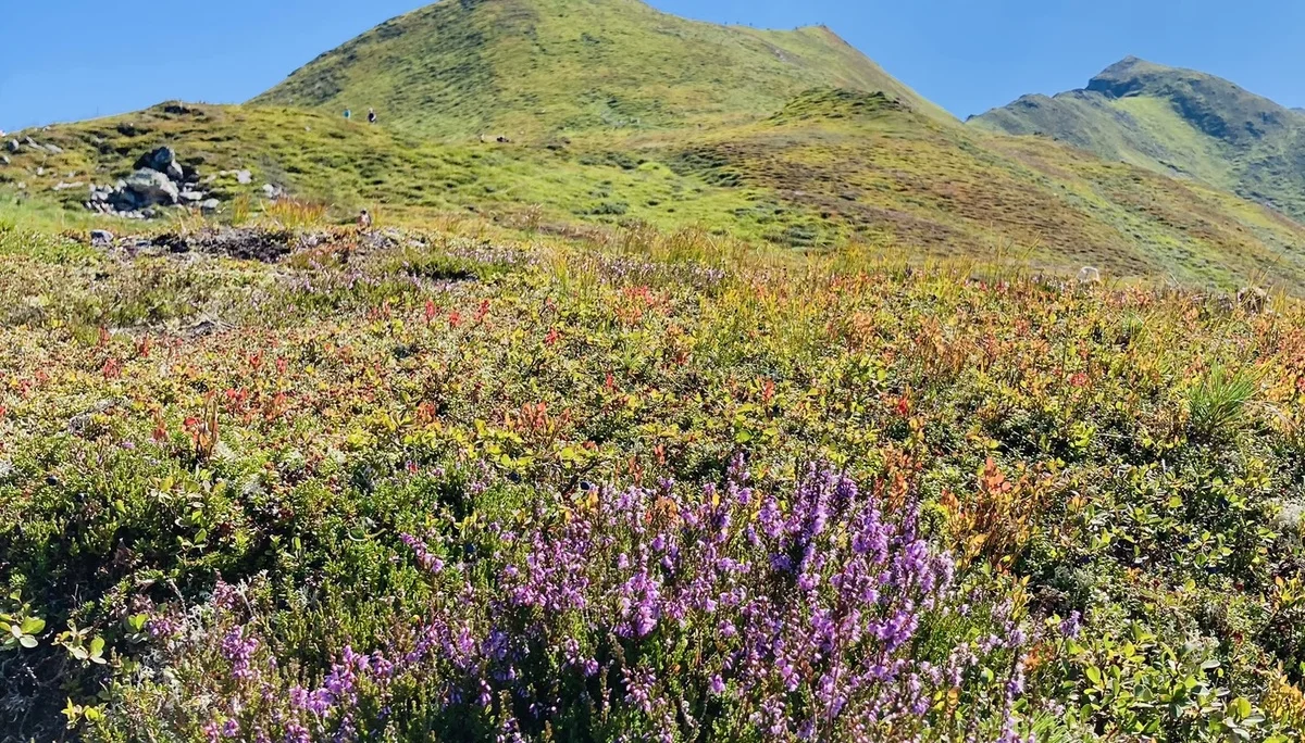 Mayrhofen | © Killesreiter Marlene