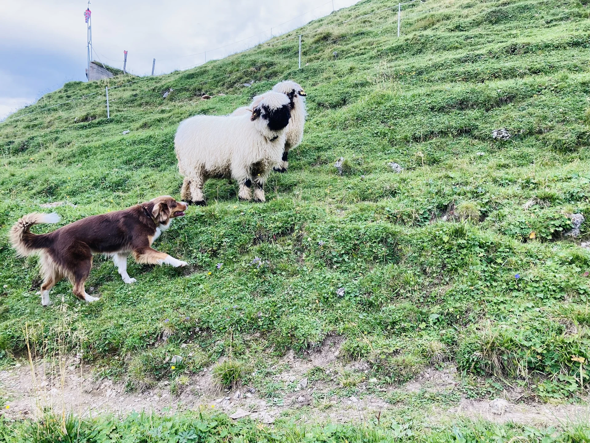 Rofanspitze | © Killesreiter Marlene