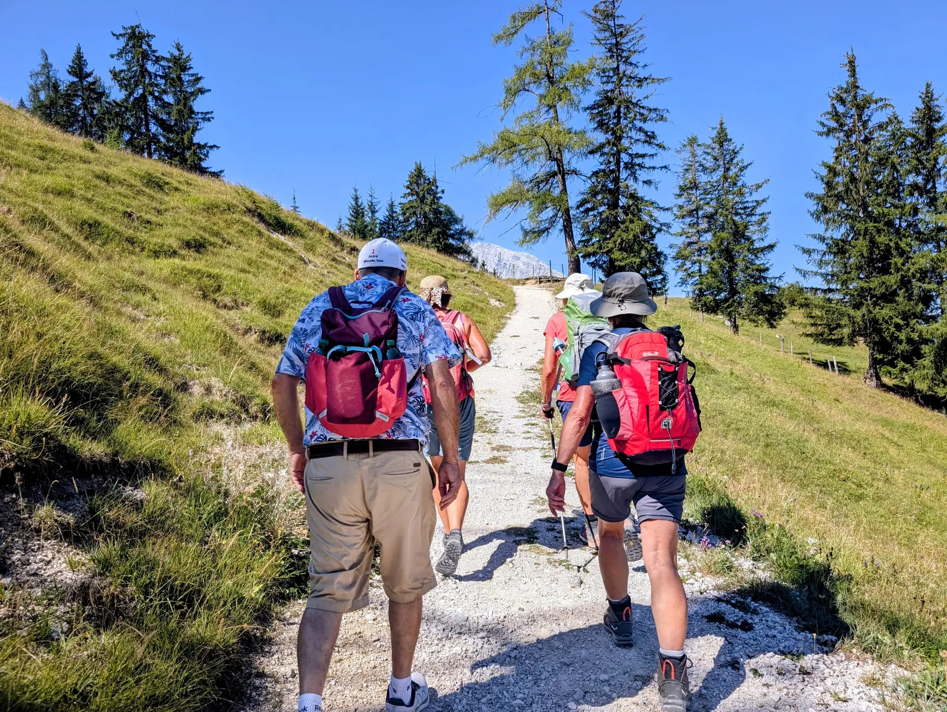 Wanderung zur Königsbergalm | © Witzelsperger Karin