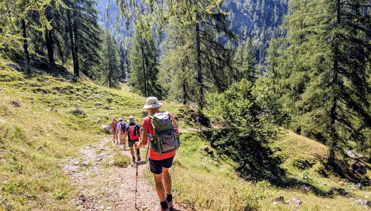 Wanderung zur Königsbergalm | © Witzelsperger Karin