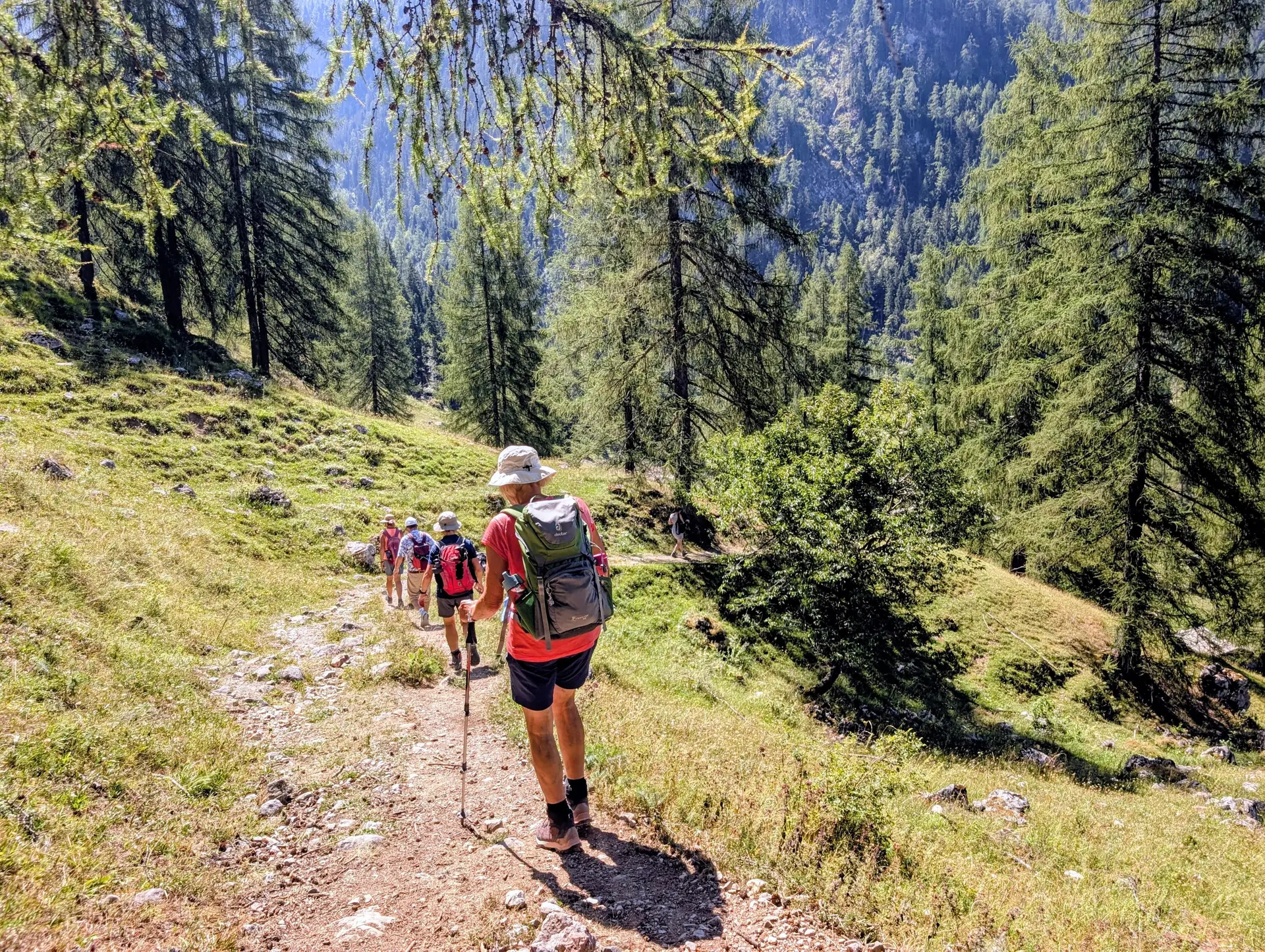 Wanderung zur Königsbergalm | © Witzelsperger Karin