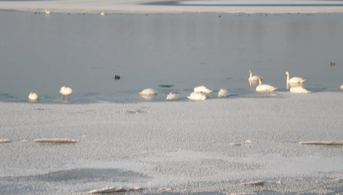 Teisbach | © Teisbach