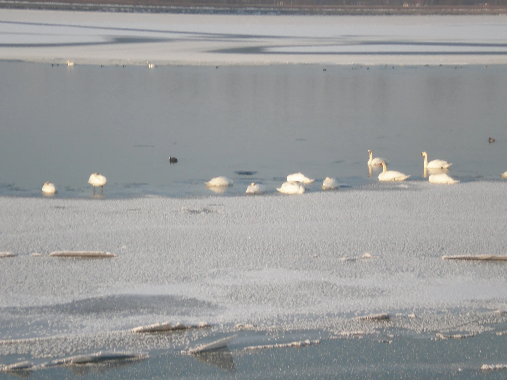 Teisbach | © Teisbach