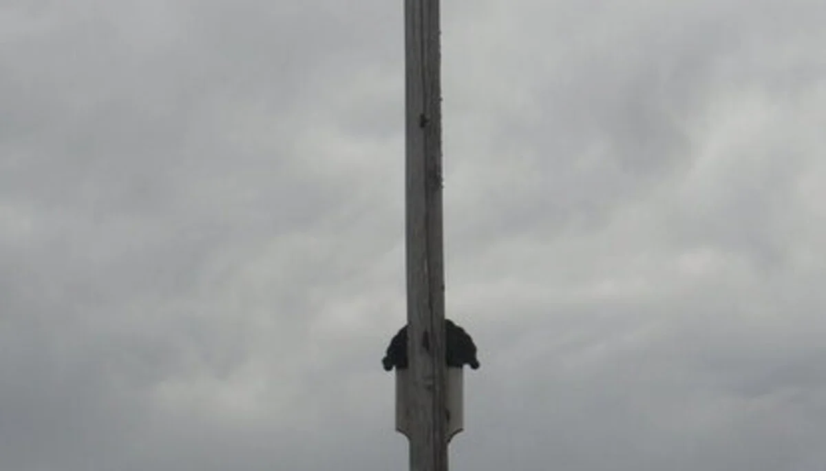 Blomberg  | © Blomberg 