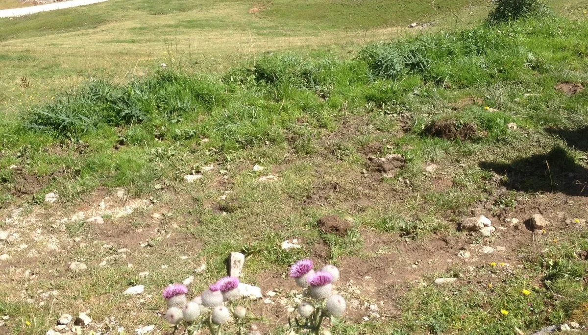 Bergmesse  | © Bergmesse 