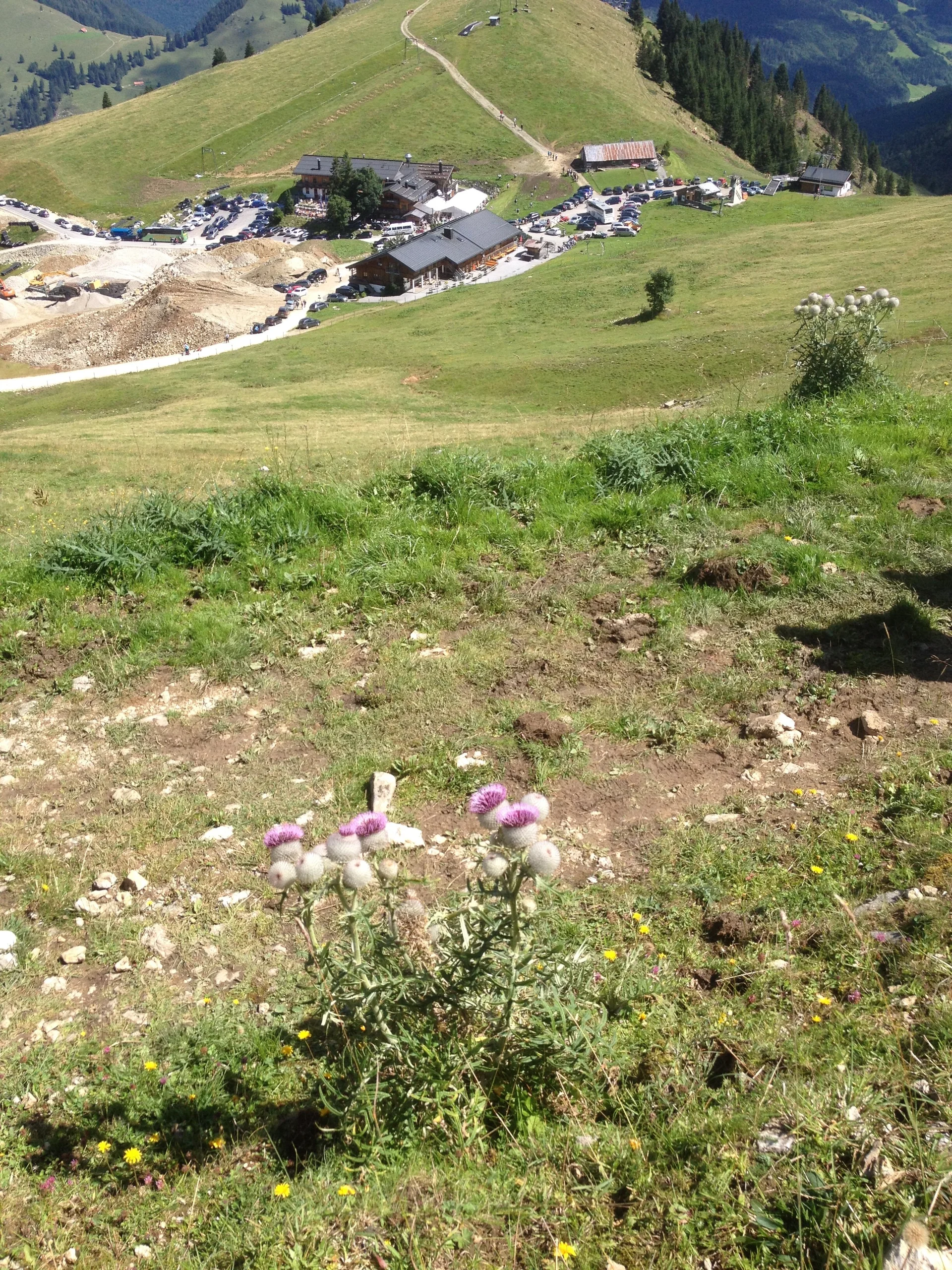 Bergmesse  | © Bergmesse 