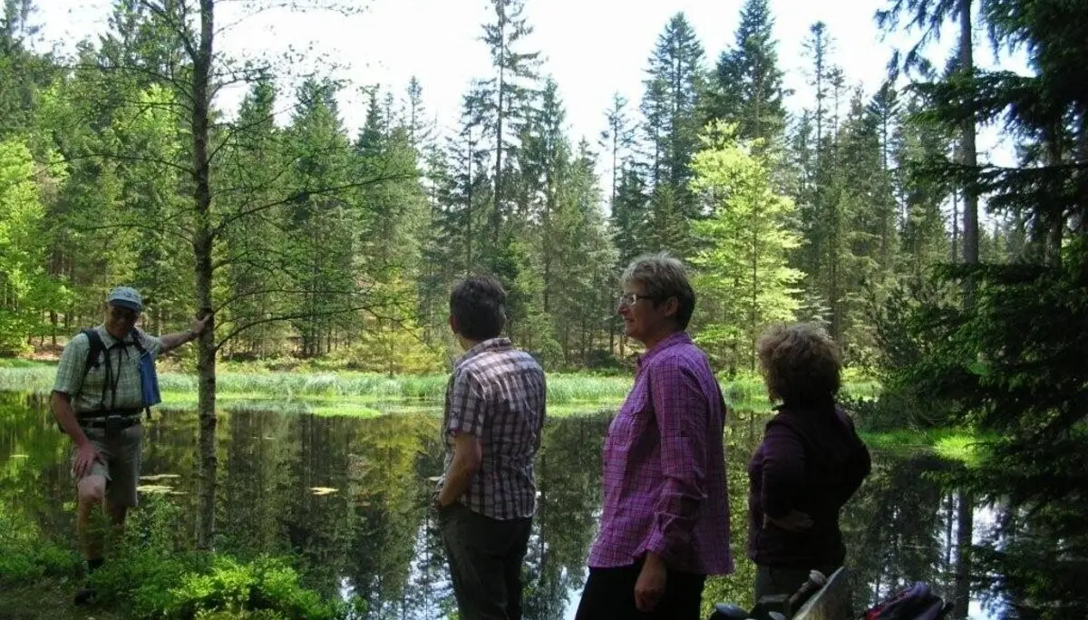 Hirschenstein | © Hirschenstein