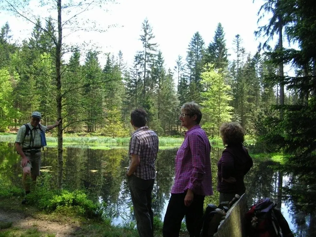 Hirschenstein | © Hirschenstein