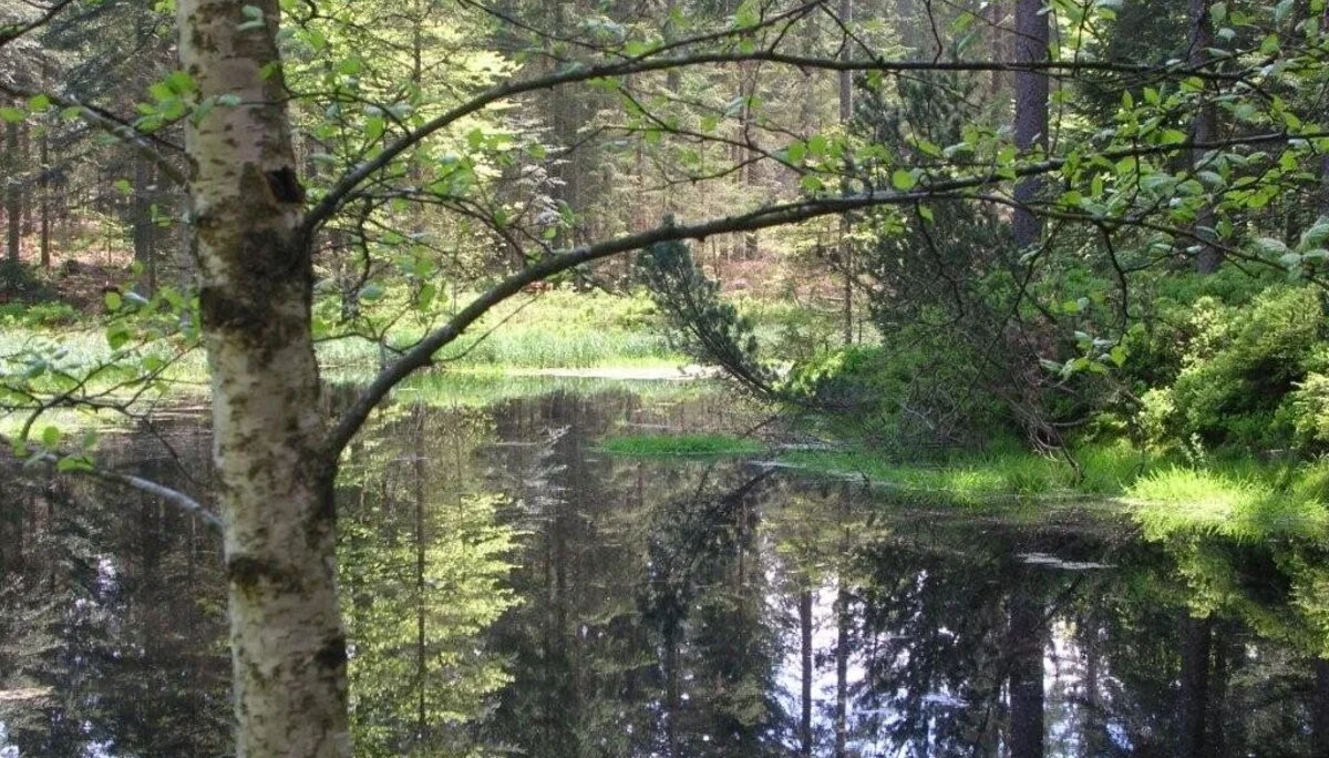 Hirschenstein | © Hirschenstein