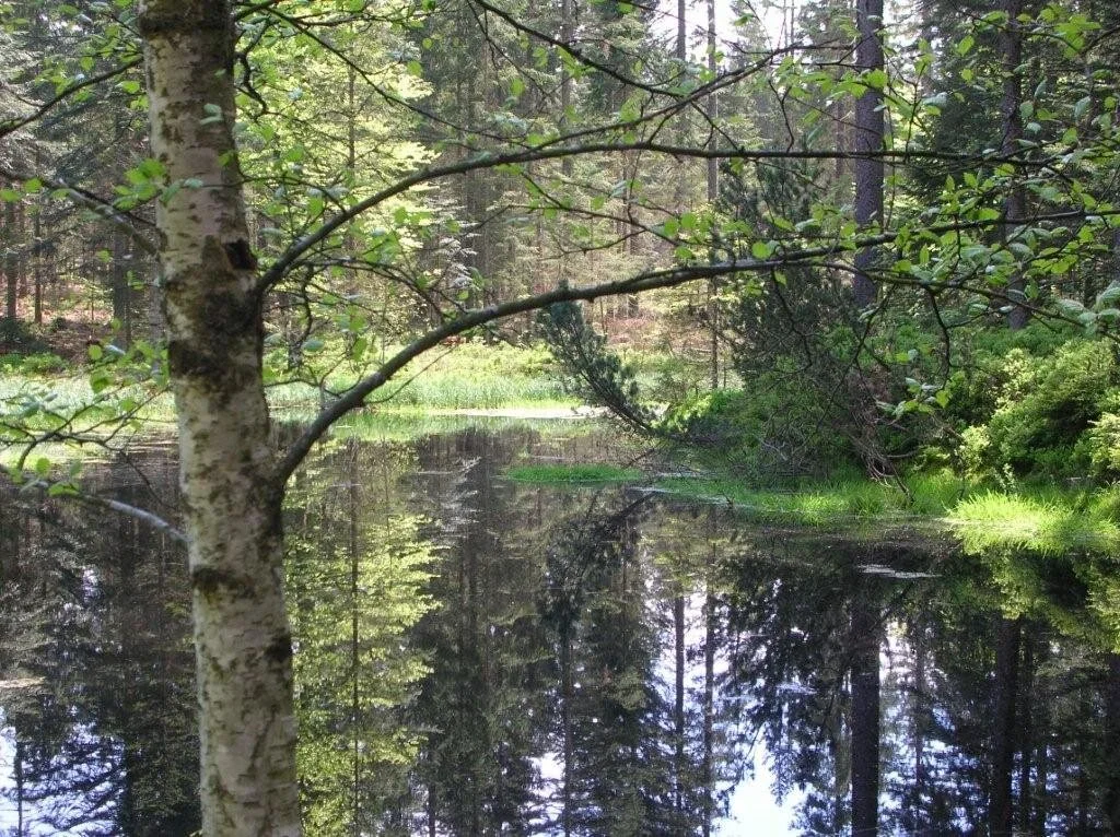 Hirschenstein | © Hirschenstein