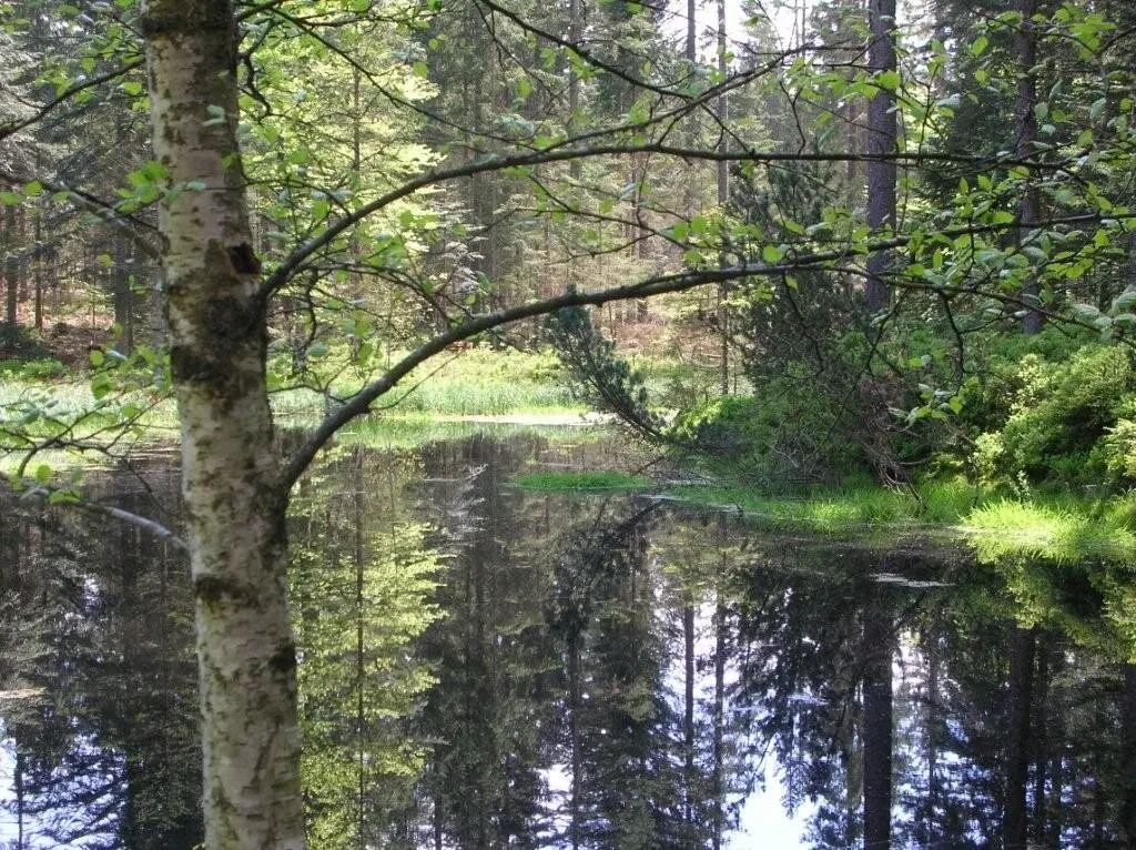 Hirschenstein | © Hirschenstein