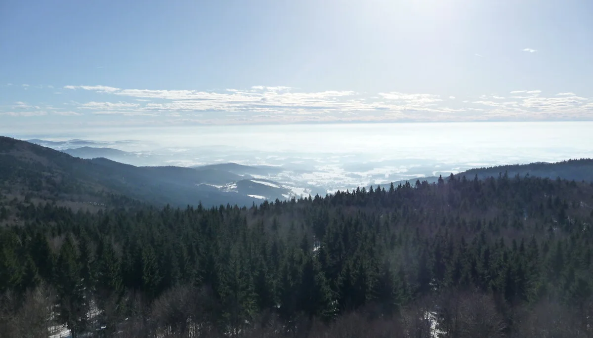 Hirschenstein1 | © Hirschenstein1