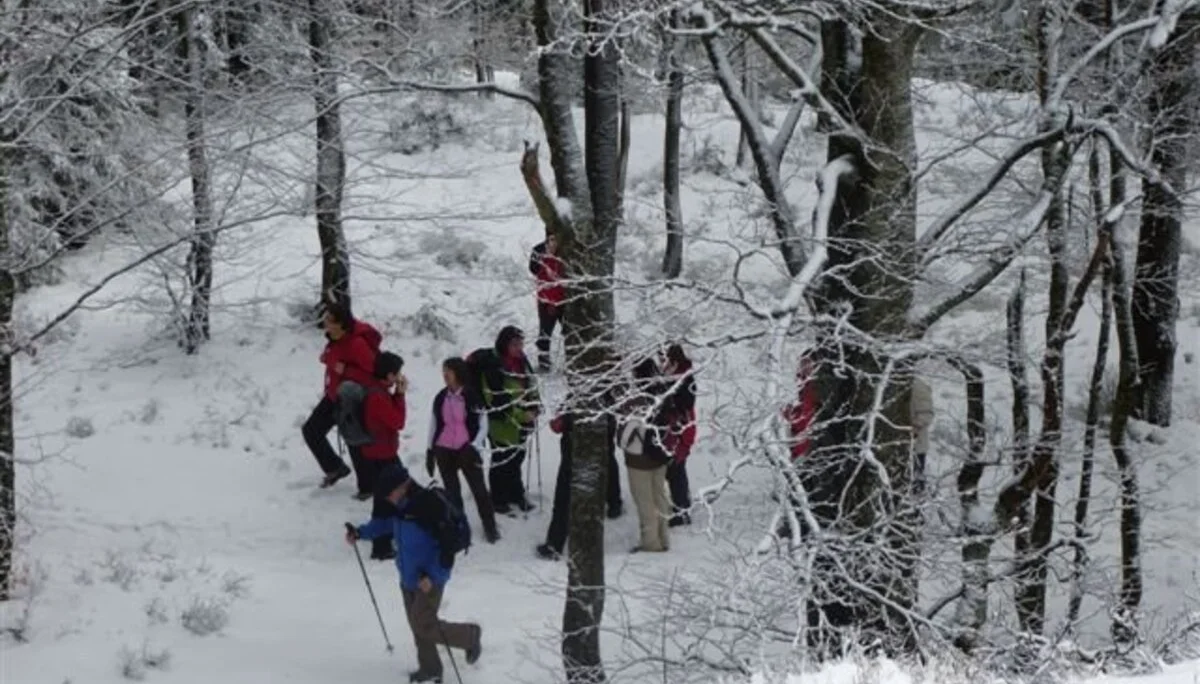 Oberbreitenau | © Oberbreitenau